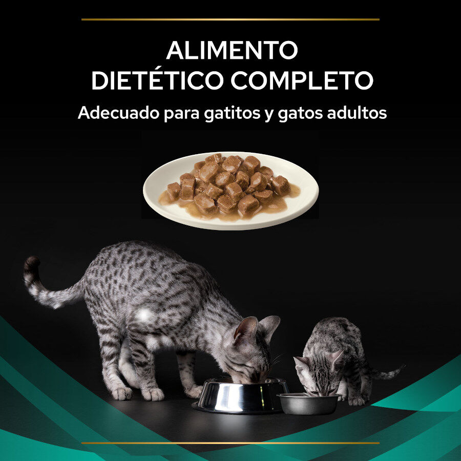 10 saquetas x 85 g Pro Plan Veterinary Diets Feline Gastrointestinal Salm&atilde;o em Molho saquetas para gatos - Multipack, , large Imagem n&uacute;mero 4